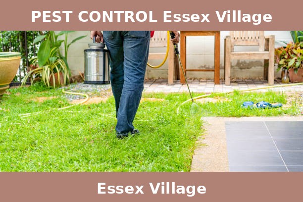 PEST CONTROL Essex Village